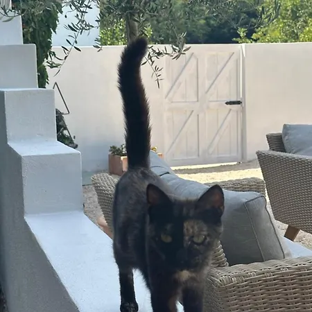 Pietrapelosa * Zrenj
